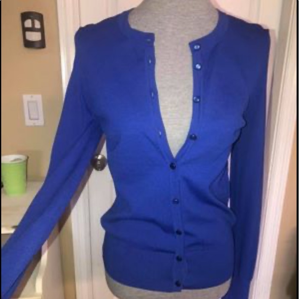 Striking Electric Blue Sweater